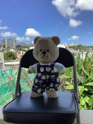 おはようございます。
今日もぼったは元気だよ！