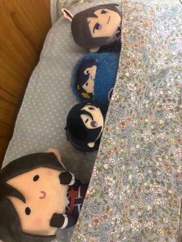 寝る前のお話。ち、ち、ち！今日あった楽しかったことを報告してる。
そうか。よきかな☺️って三日月さんが沢山聞いてくれてる。
指の上薬研はちょっと眠そう。んまちゃんは幸せそう。朝になるとこもちやげんはよくひっくり返ってお腹出して寝てます。こもちやげんのお兄さん達。