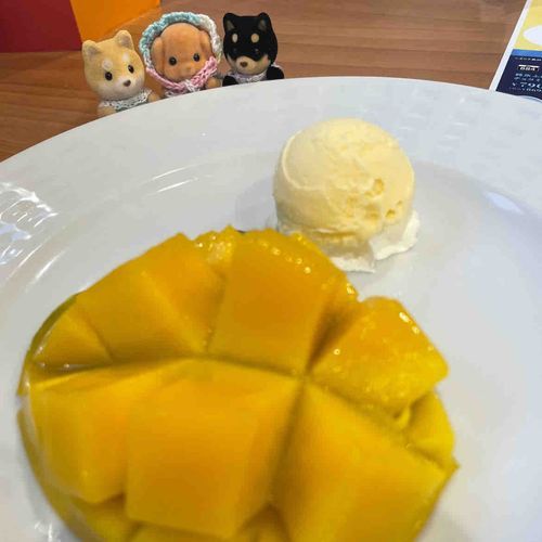 マンゴーにバニラアイスってとってもあうんだねー✨おいしー✨