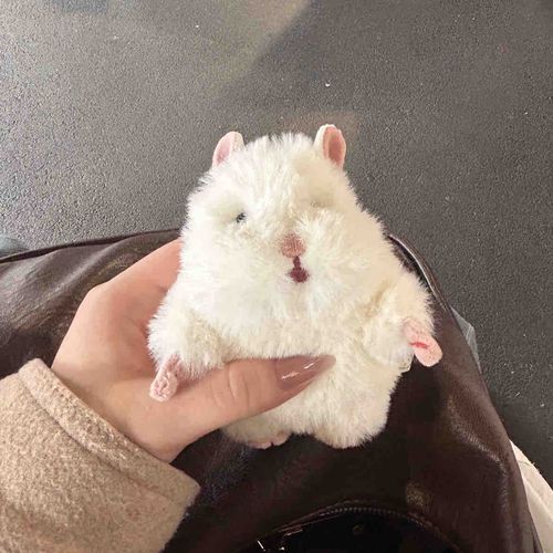 はむ🐹⸝꙳.⋆