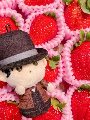〻∵ ほぉ〜🍓