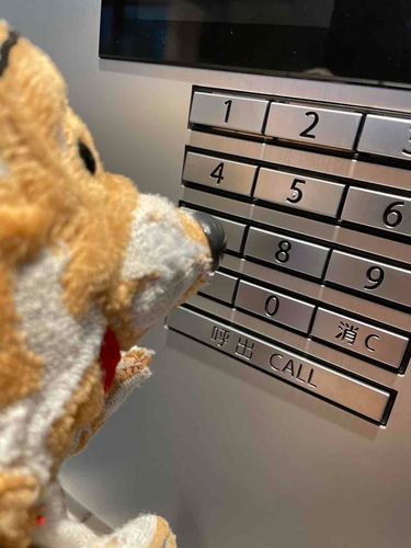 友達のおうちにあそびにきたぷー！
