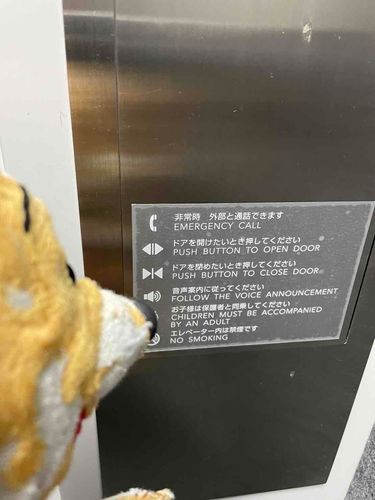 ん？？ボタンを押せばいいってことぷーか？？