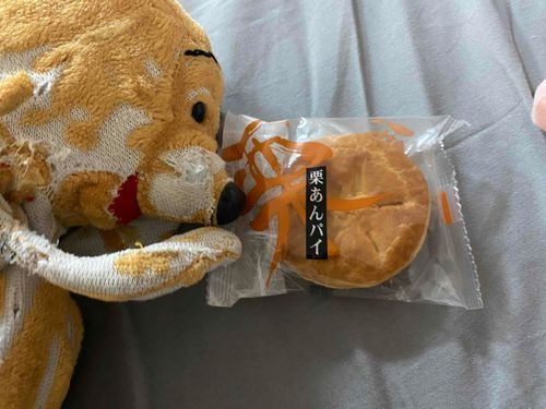 お出かけのおみやげぷ！
これ食べて歯磨きしないで寝てやるぷー