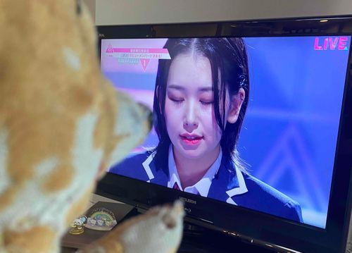 おめでとうぷー！
プーも頑張ってアイドル目指すぷ！
ステージで待っててぷー！
