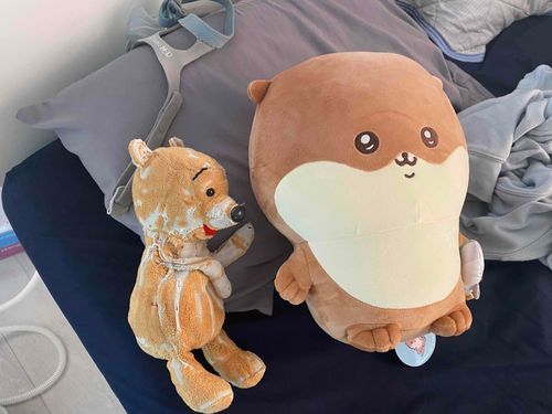 舎弟が増えたぷー