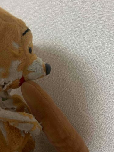 スティックパンおいしいぷーね