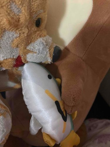 魚は生臭くてまずいぷーね。ぺっっ！