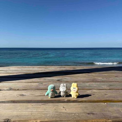 う〜み〜は ひろい〜な おおきい〜な〜🌊♩
どでかおみずたちをみてきた！きれいだた！