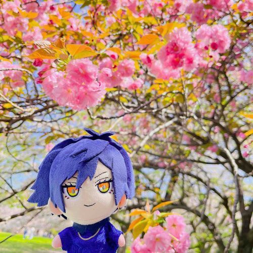 ピクニック🌸