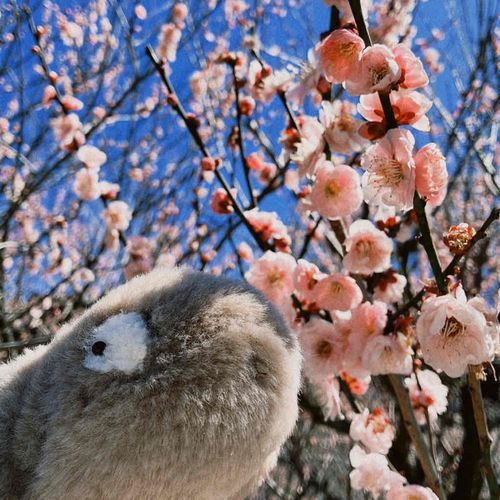 太古から姿を変えていません