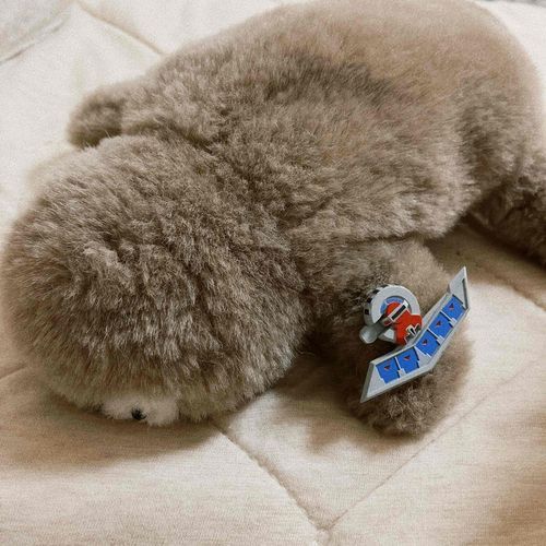 太古から姿を変えていません