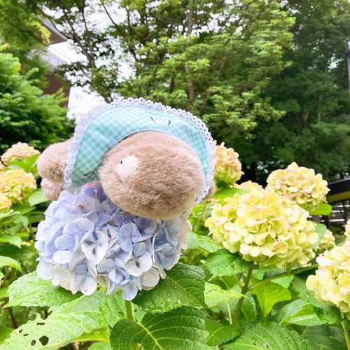 太古から姿を変えていません