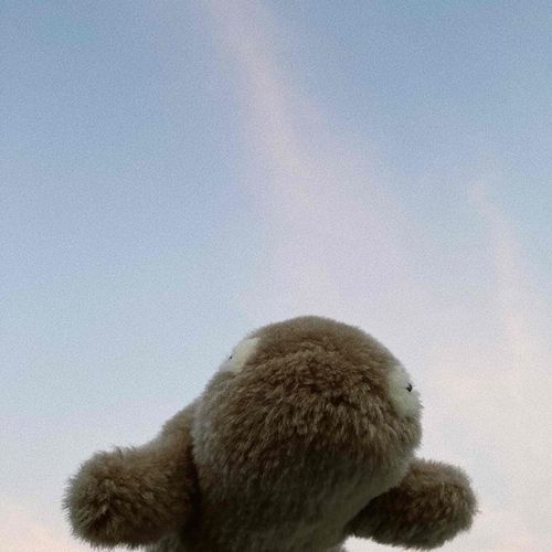 太古から姿を変えていません