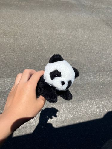 載せるネタがない