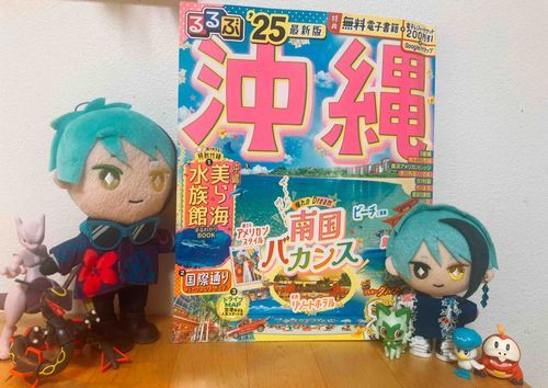 今年の夏は沖縄に行きます。もう服も準備済みです。楽しみですね♡