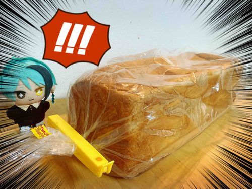 かなり攻略しがいのあるパンを頂きました。さて、どうやって食べましょうか…