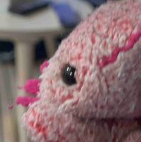 ウパちゃん