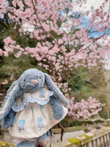 桜🌸