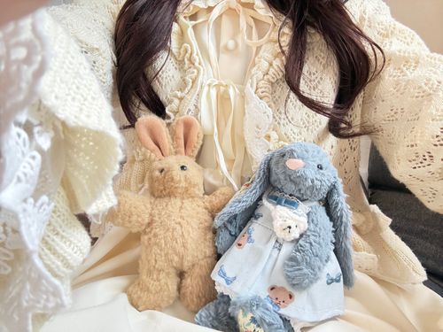 ネモちゃんよりかなりお姉さんのうさぎさん実家から我が家に到着🩵