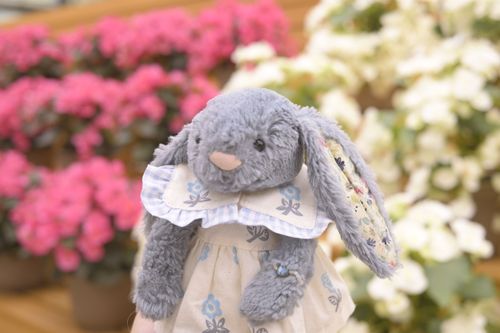 お花だらけ🌸