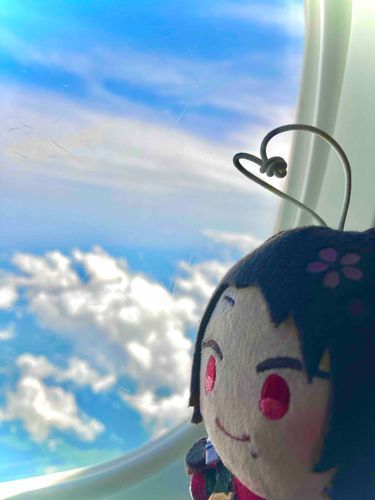 お空だー！！