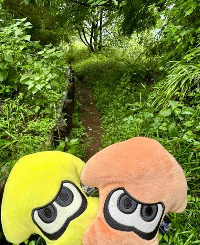 鬱蒼〜