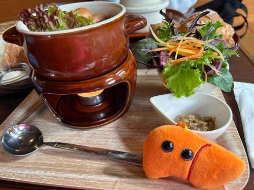 今日はオシャレなランチを頂いたよ〜✨️お野菜いっぱいで健康的だ…🥰