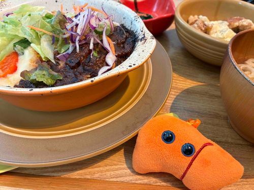 おやすみの日に美味しいご飯を食べてきたよ‼️本体さんはお盆休みがないから元気チャージだね‼️💪