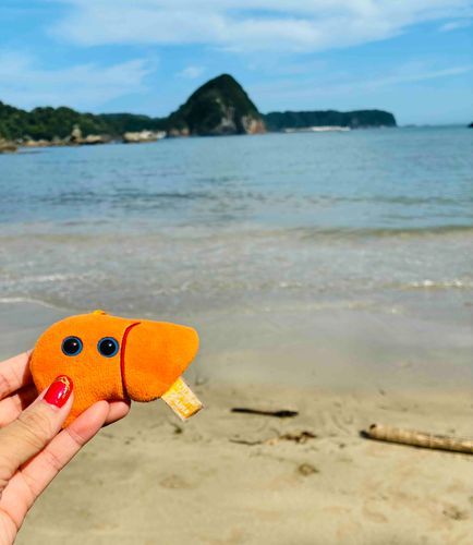 本体さんの誕生日を兼ねた旅行で海に来たよ〜🌊美しいエメラルドグリーンだった…✨️