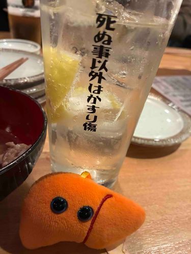 忘年会‼️🍻
今年もたくさんお世話になりました！皆様来年もよろしくお願いします✨️
良いお年を🥃🥃🥃