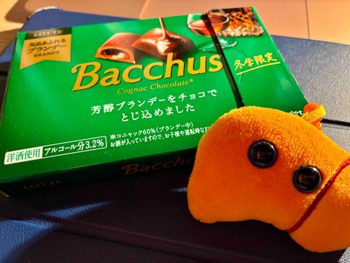 ハッピーバレンタイン❣️
特別なやつじゃないけど今年もお酒入りのチョコを買ったよ✨️