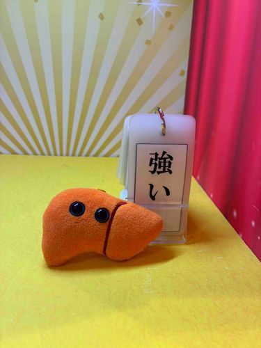 肝臓は強い‼️色んな意味で‼️💪