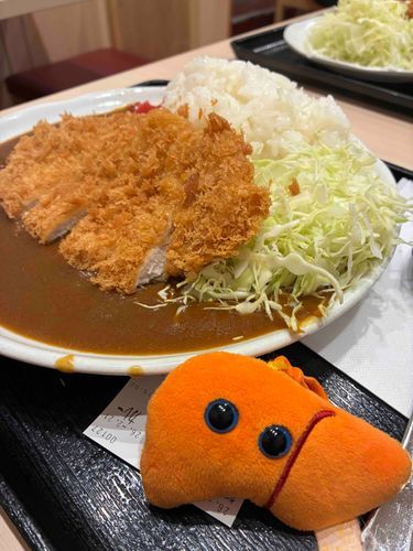 カツカレーだよ‼️モリモリ食べて元気をつけるよ🍛💪