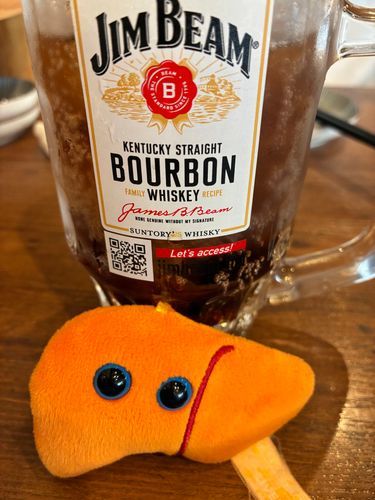 今日は昼飲みしたよ✨️肝臓はコークハイが大好き‼️