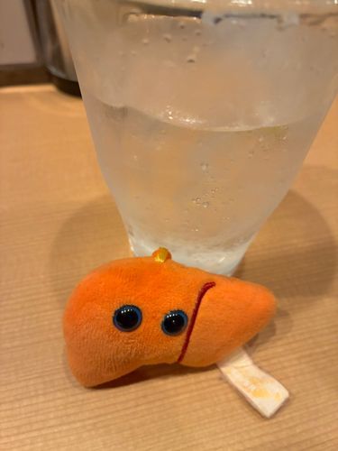 こないだは久しぶりに飲み🍻をしたよ〜✨️
肝臓の本体さんが肝臓以外のところで病気をしてしまって浮上が少し下がっちゃうけど肝臓は元気だよ‼️