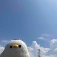 とさかちゃん