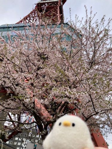 春が来た。