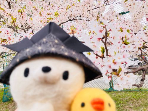 だんきちも一緒。