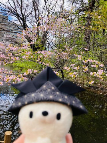 桜まだある。