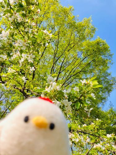 夏を感じる。