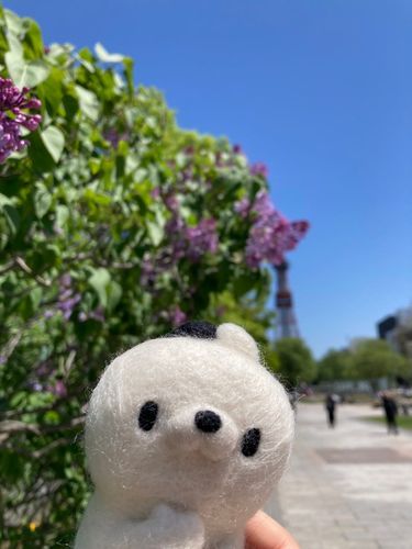 夏とねこみつがきた。