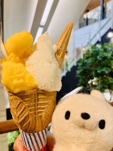 夏はジェラート。