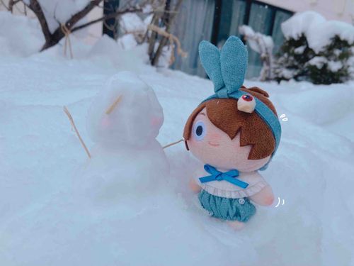ゆきだるまつくった⛄️！