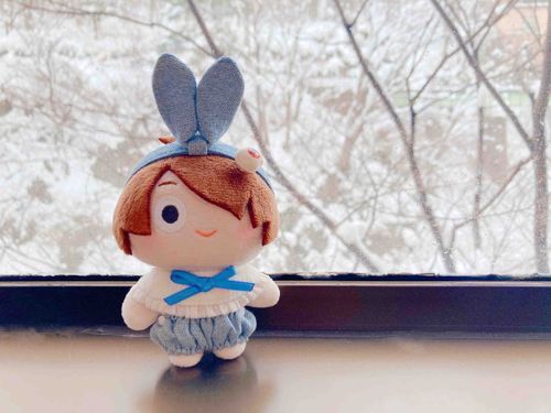 雪だよ❄️
