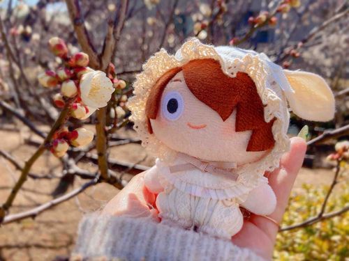 梅祭りいったよ💐
