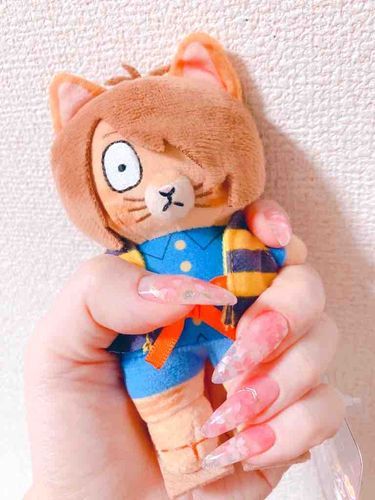 新入り🐱チャン