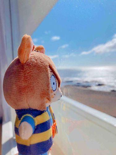 うみー！🏖️