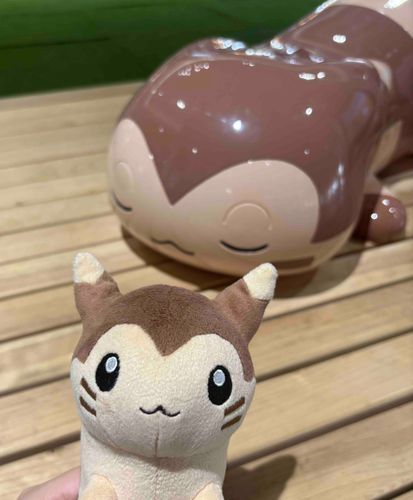 寝てるオオタチとツーショ😴