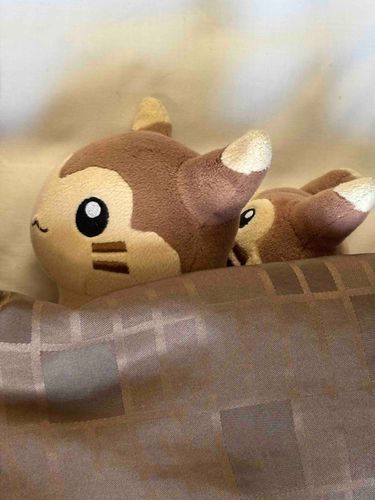 オオタチ親子ホテルでおねんね😴